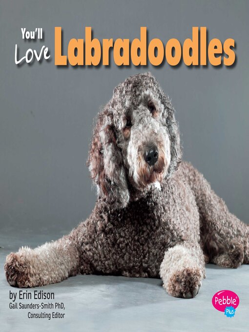 Title details for You'll Love Labradoodles by Gail Saunders-Smith - Available